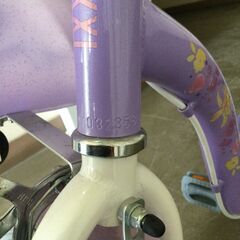 【北見市発】Adventure begins with Friends ラプンツェル ジュニア自転車 G2001032358 16インチ 紫 (E2743wY)