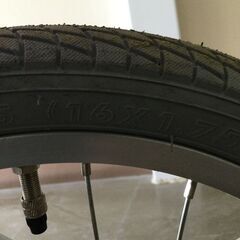 【北見市発】Adventure begins with Friends ラプンツェル ジュニア自転車 G2001032358 16インチ 紫 (E2743wY)