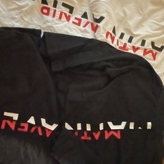 マタンアヴニール　朝倉未来