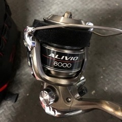 プロマリンHERVIT ISO シマノアリビオセット打ち込み