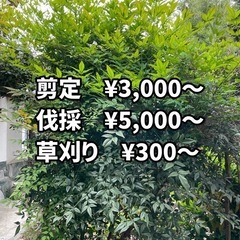 草刈り1平米300円〜！※関東エリアの画像