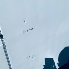 Haier ノンフロン冷凍冷蔵庫 JR-CV29A