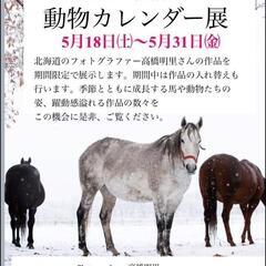 カフェde写真展『北海道の牧場ぐらし　動物カレンダー展
』＠支留...