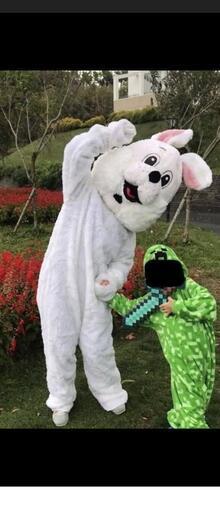 うさぎの本格的な着ぐるみ ハロウィン、お祭り、催し物などに