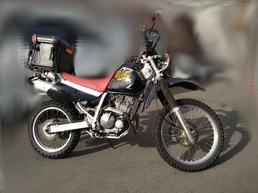 スズキDJEBEK250XC(LD/ローダウン)強制開閉キャブ