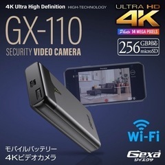 【ネット決済・配送可】GX-110 モバイルバッテリー型カメラ（...
