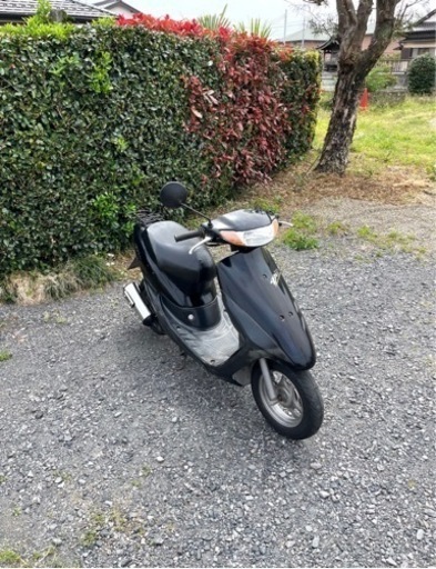 783.　動画あり　ホンダ　ライブディオ　2スト　原付　バイク　50cc   車体