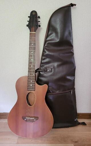 楽器 弦楽器、ギター