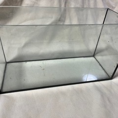 40センチ　ガラス水槽　
