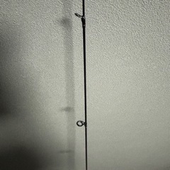 ダイワ月下美人　AIRAGS AJING 55ULXS