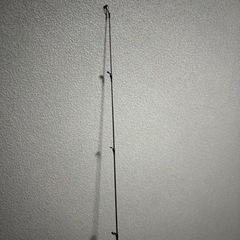 ダイワ月下美人　AIRAGS AJING 55ULXS