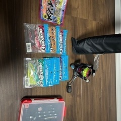 ダイワ月下美人　AIRAGS AJING 55ULXS