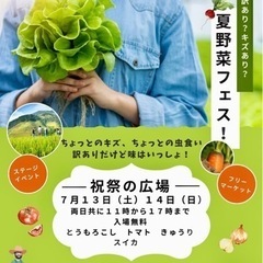 夏野菜フェス　運営スタッフの画像