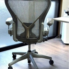 アーロンチェア チタニウム ポスチャーフィット フル装備 クラッシック ジンク