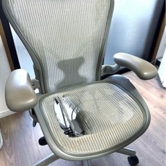 アーロンチェア チタニウム ポスチャーフィット フル装備 クラッシック ジンク