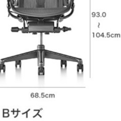 アーロンチェア チタニウム ポスチャーフィット フル装備 クラッシック ジンク