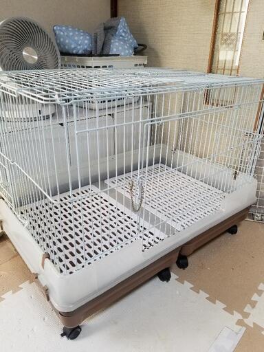 ((値下げしました))ミニマルランドウサギゲージワイド