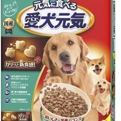 保護犬ちゃんのご飯を募集しています。