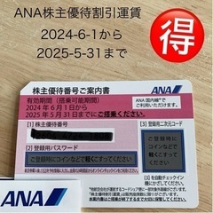 【ネット決済・配送可】飛行機チケット全日空ANA