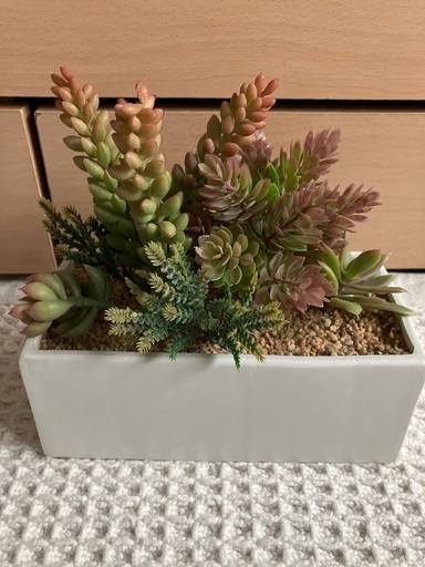 新品未使用✨抗菌機能付フェイクグリーン①　定価2000円