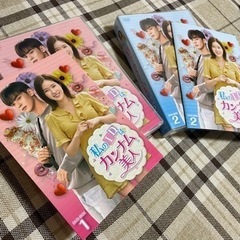 私のIDはカンナム美人 全巻