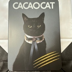 カカオキャット　ミックス14個入り　CAT チョコレート　