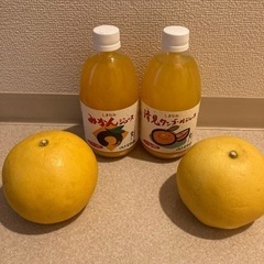 果樹園ジュース＆柑橘