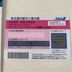 【最新】ANA株主優待／飛行機／1枚
