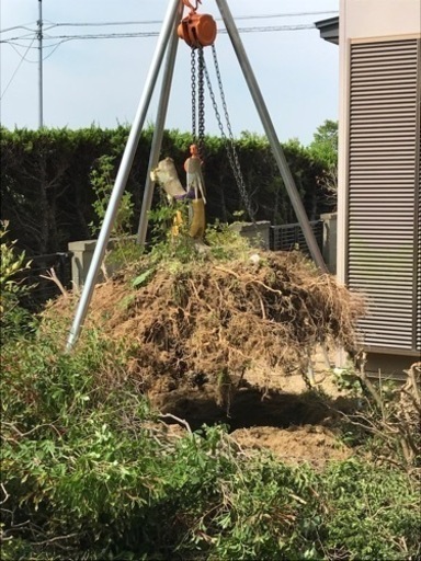 庭 抜根道具 チェンソー 緊急値引き その他 一式