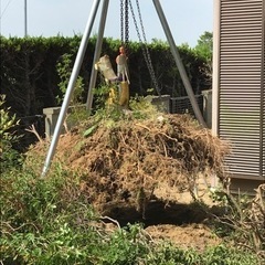 庭　抜根道具　チェンソー　緊急値引き　その他　一式