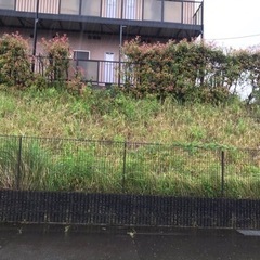 草刈り、剪定など！ - 掛川市