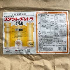 みえのゆめ苗　45枚