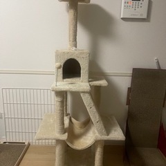 キャットタワー　とさぼてん　猫