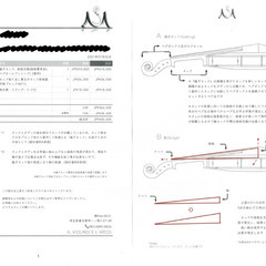 ネックメープル製　チェロ　Josef Jan Dvorak