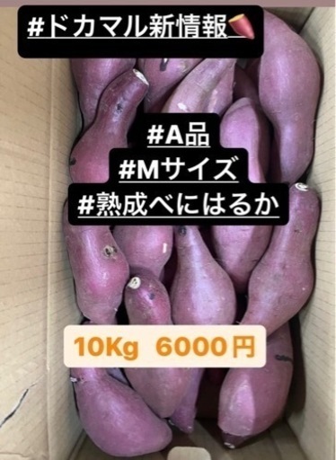 紅はるか【完熟】