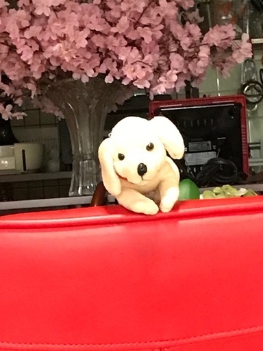 不二貿易（Fuji Boeki） カウンターチェア シェル RD レッド 赤 