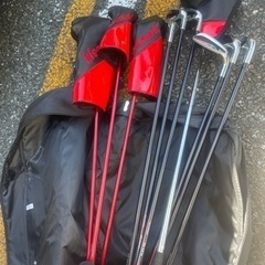 WORLD EAGLE F-F-01α クロス クラブセット 10本 右用 バッグ新品