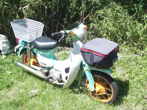 更新　リトルカブ　51cc　黄色ナンバー登録　自賠R9.10付き　miniカスタム　試乗のち即納できます。