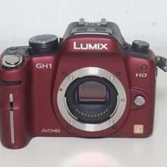 Panasonic/LUMIX/DMC-GH1/レンズ付き/ミラーレス一眼 ④