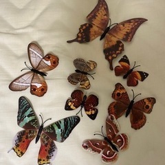マグネット　蝶々