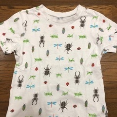 昆虫　Tシャツ　130