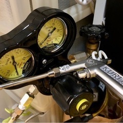 🦓インペリアルゼブラプレコ🦓