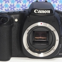 極美品★Canon EOS 20D レンズセット★高画質★おすすめカメラ★