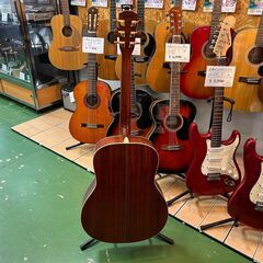【愛品館八千代店】MORRIS　MW-80　アコースティックギター 愛品館八千代店】MORRIS MW-80 アコースティックギター