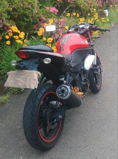 ニンジャ250R 後期 ネイキッド仕様 赤 (No.2141) クールなマッド