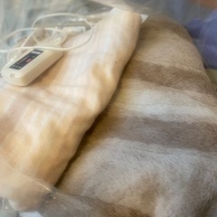 冬用の敷毛布、電気毛布セット 3枚程