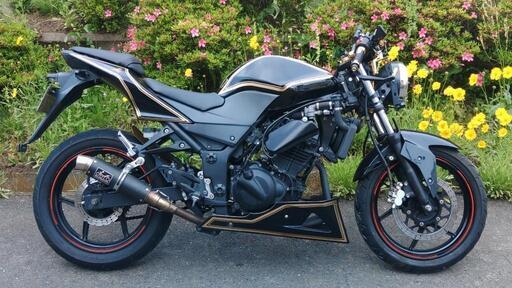 ニンジャ250R　後期　ネイキッド仕様　黒　(No.2146)