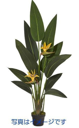 06h ★50%OFF★\nNearly Natural 人工観葉植物 極楽鳥花 リアルタッチ 1.4m y051402h