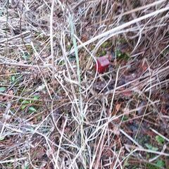 ニッチな隠れスポット