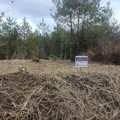 ニッチな隠れスポット